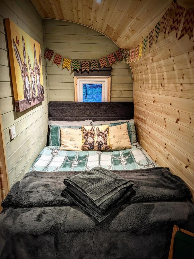 Vila Emlyn'S Coppice - Luxury Woodland Glamping Holywell  Exteriér fotografie