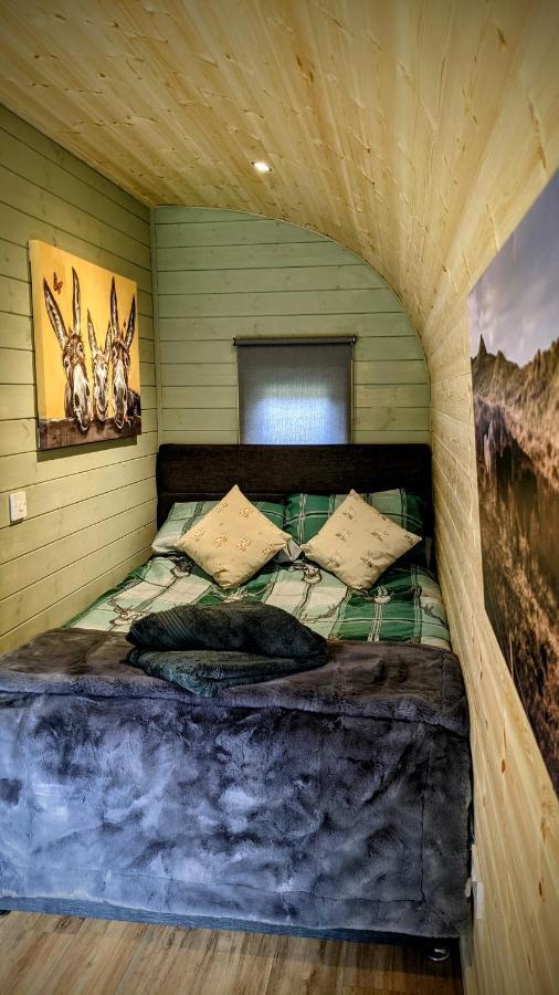 Vila Emlyn'S Coppice - Luxury Woodland Glamping Holywell  Exteriér fotografie