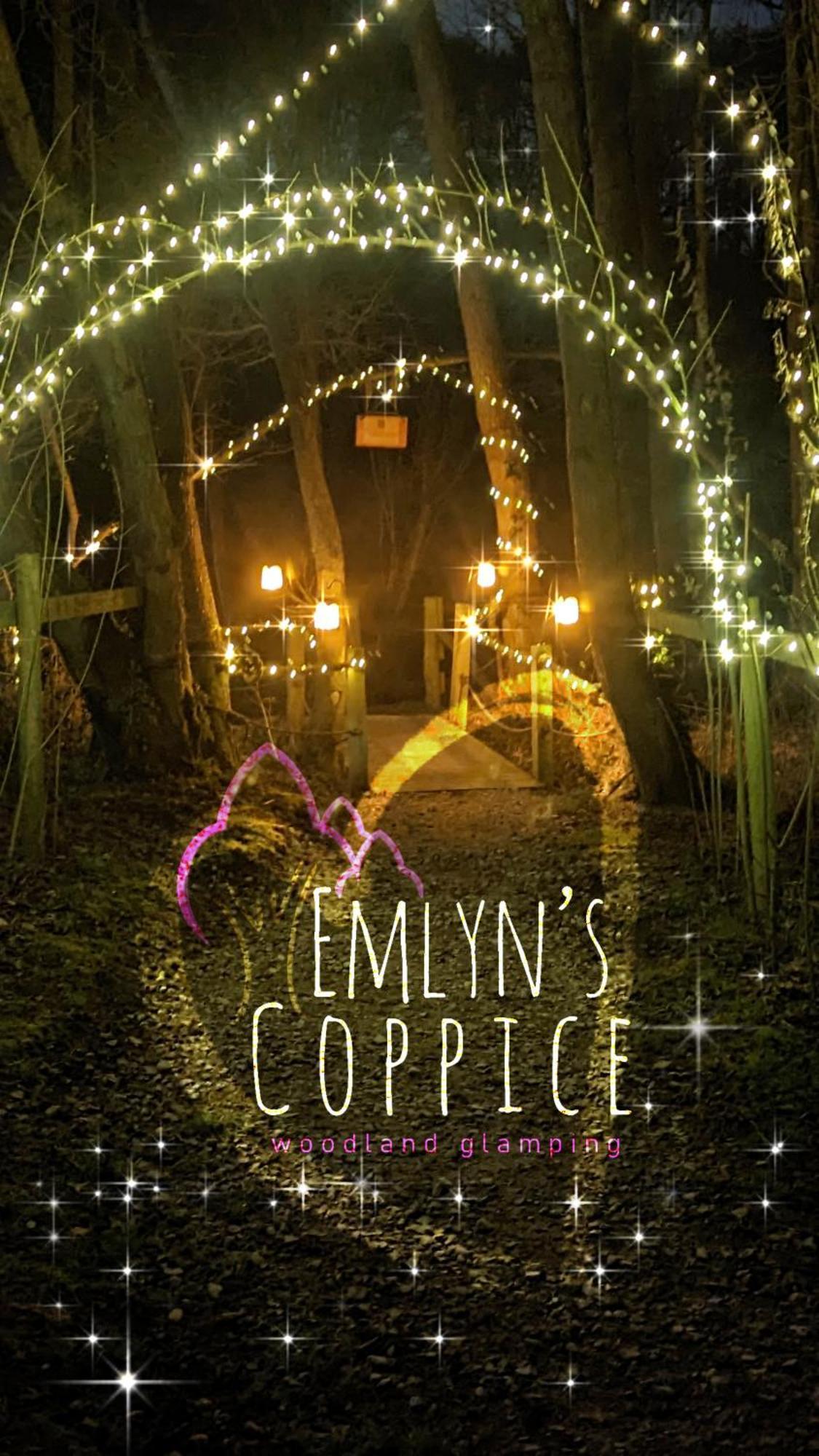 Vila Emlyn'S Coppice - Luxury Woodland Glamping Holywell  Exteriér fotografie